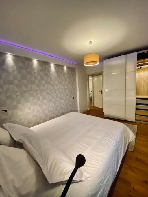 Apartment Loft66 Avec Parking Prive